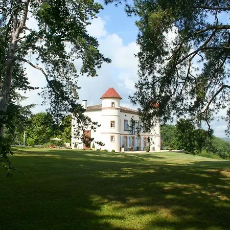 Chateau De La Joie * Saint-Victor-Rouzaud