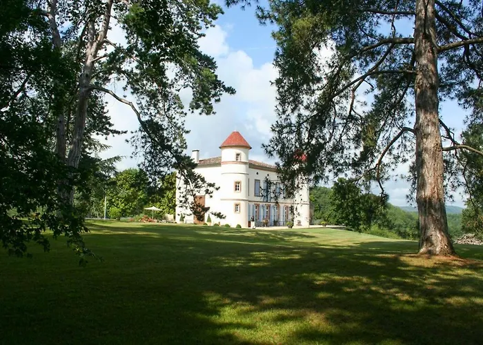 Chateau De La Joie * Saint-Victor-Rouzaud