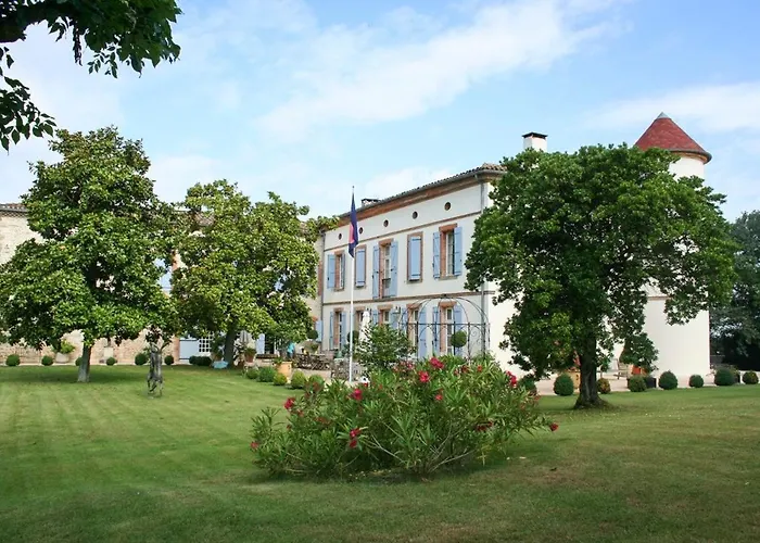 Chateau De La Joie * Saint-Victor-Rouzaud