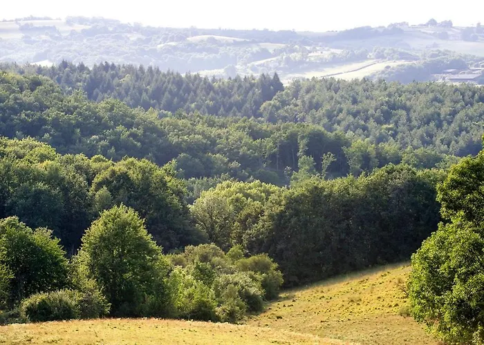 Chateau De La Joie Semesterbostad