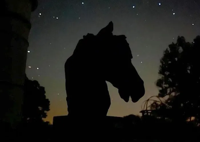 Chateau De La Joie Semesterbostad